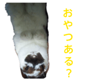 839954336