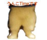 839954345
