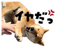 839954535