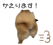839954694