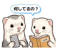 839955829
