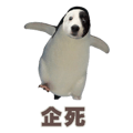 839956181