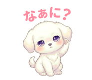 839956374