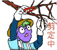 839957915