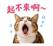 839959503