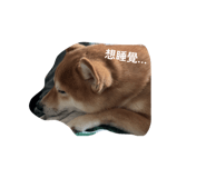 839959925