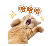 839960142