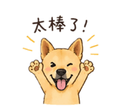 839960305
