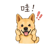 839960306