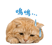 839960554