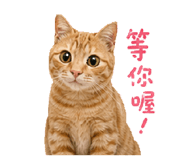 839960555