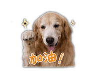 839960725