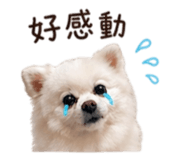 839961420