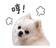 839961425