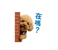 839961606