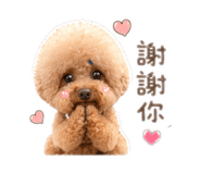839961659