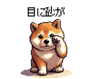 839966029
