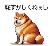 839966036