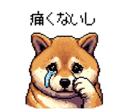 839966053