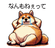 839966057