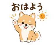 839966737