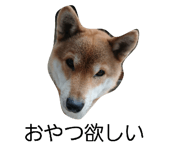 839966825