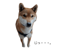 839966829