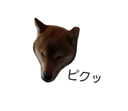 839966831