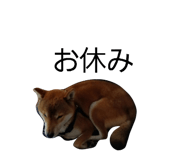 839966832