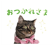 839967989