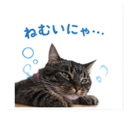 839968001