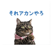 839968006