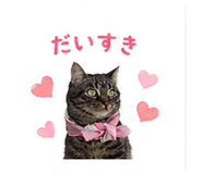 839968007