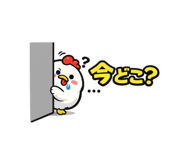 839969504