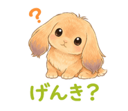 839969535
