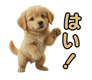 839969987