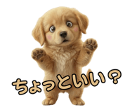 839969988