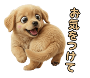 839969990