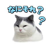 839970108