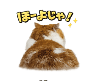 839970119