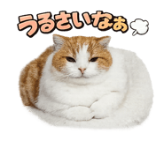 839970123