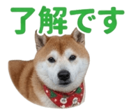 839970291