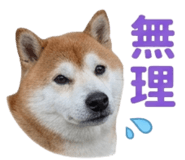 839970292