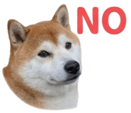 839970293
