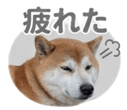 839970300
