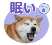 839970301