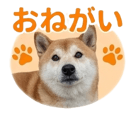 839970303