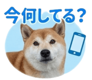 839970305