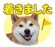 839970307