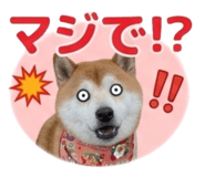 839970311